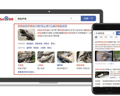 细河谷歌ADS