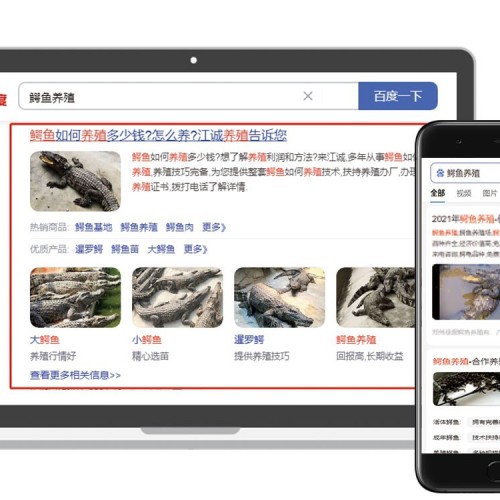 掇刀谷歌ADS